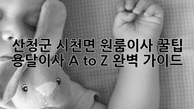 산청군 시천면 원룸이사 꿀팁🍯 용달이사 A to Z 완벽 가이드